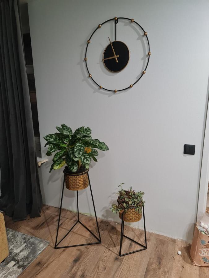 Old Town Apartment ريغا المظهر الخارجي الصورة